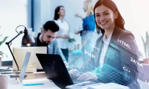 Enterprise software development