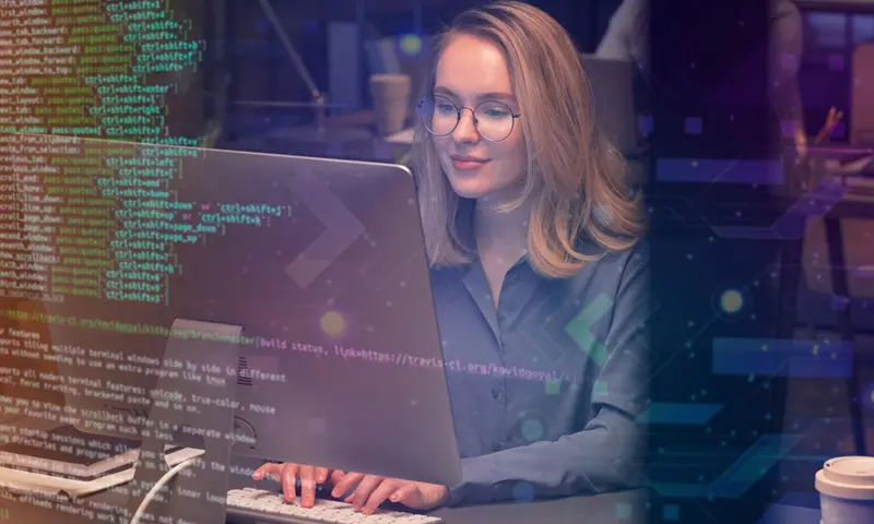 Web Development
